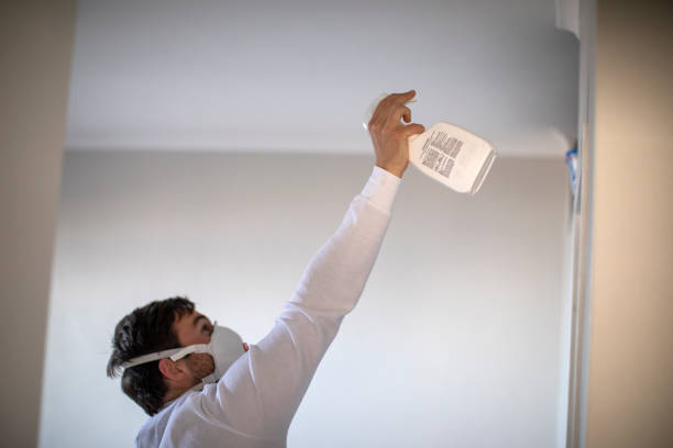 Mold Removal Process in Central City, IA
