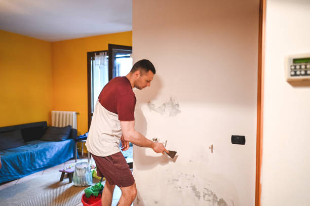Best Emergency Mold Removal  in Central City, IA
