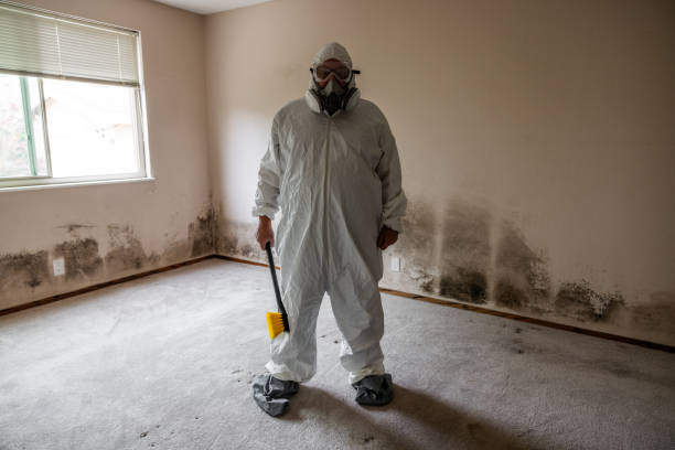 Reliable Central City, IA Mold Removal Solutions